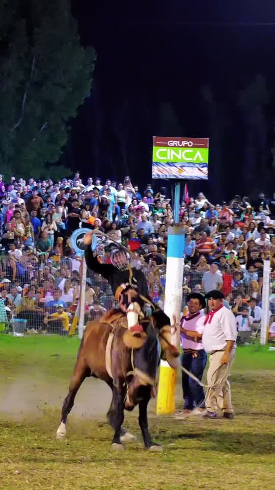 Recap del Festival de la Doma